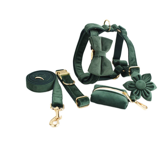 Velvet ™️ Collare per Cane in Velluto |