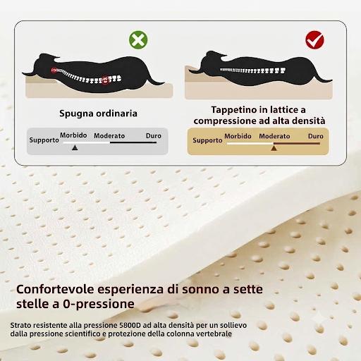 HAVEN™ | Cuccia Premium in Tessuto Nanotech per Cani