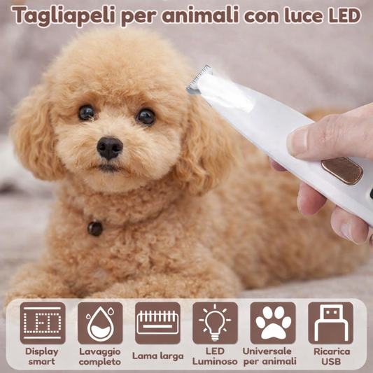 Tagliacapelli impermeabile per animali con luce LED in uso su barboncino toy color miele, rasoio elettrico per toelettatura cani con lama larga 18mm, display smart e ricarica USB.